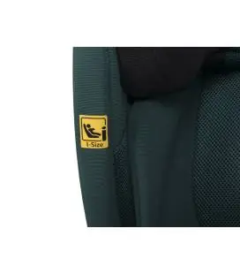 Automobilinė kėdutė Cavoe Grand Prix Isofix, 15-36 KG., Forest