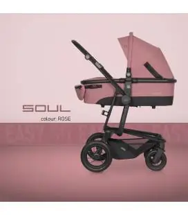 1in1 Vaikiškas vežimėlis Easy Go Soul Air, Rose